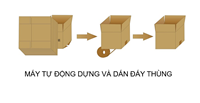 Máy tự động dựng và dán đáy thùng