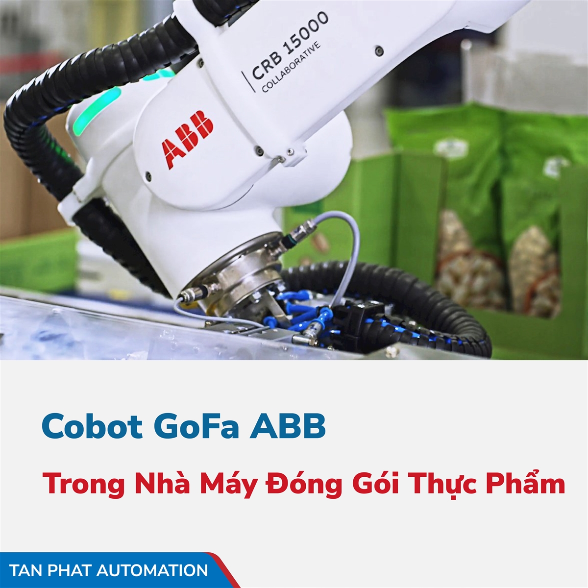 Cobot GoFa ABB - Giải pháp tăng lợi thế cạnh tranh cho nhà máy đóng gói thực phẩm